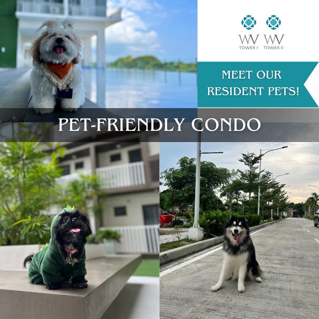 403725943_3156403231323252_3763357274271016590_n